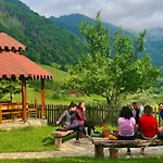 Guesthouse Alpini