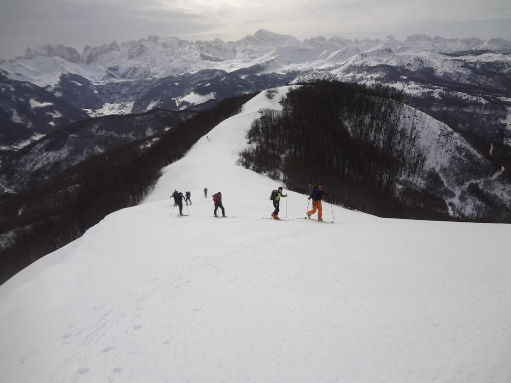Alpini * Lepushe