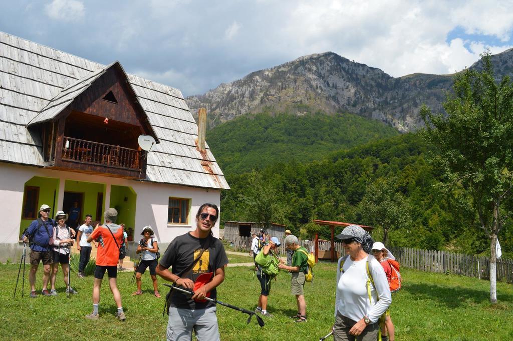 Affittacamere Alpini